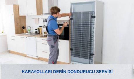 Karayolları Derin Dondurucu Servisi